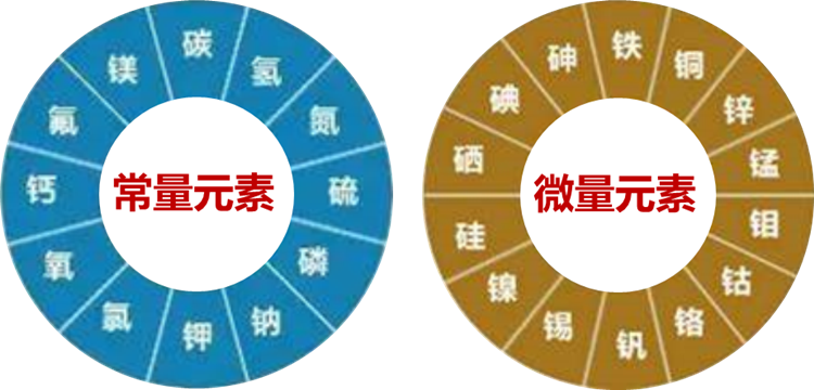 家家益生缘:钙,铁,锌,硒同补(一)_元素_矿物质_问题