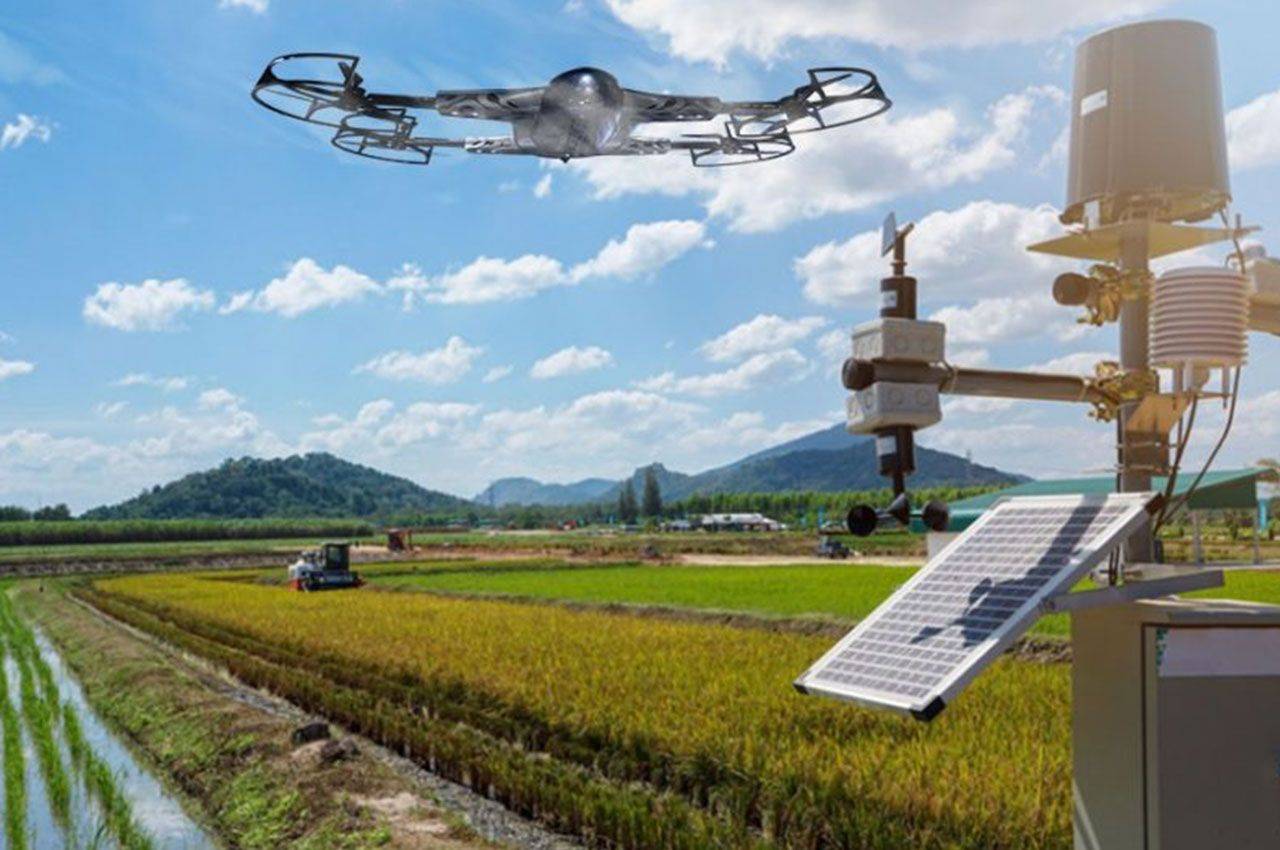 智慧农业巅峰:数字农田技术助力农业科技的全球翻新_管理_智能化_种植