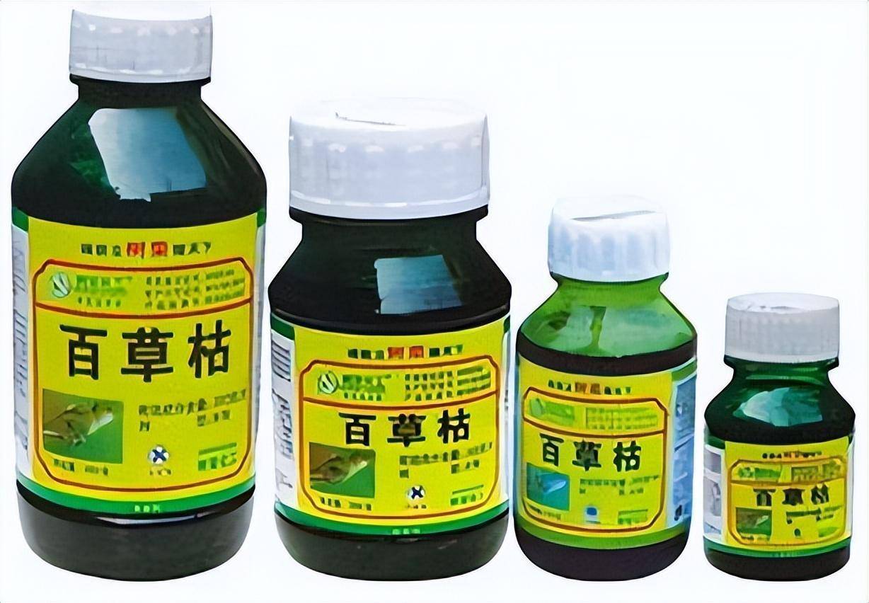 "百草枯之父"李德军:我知道它没有解药,但没想到会有人主动喝_李红达