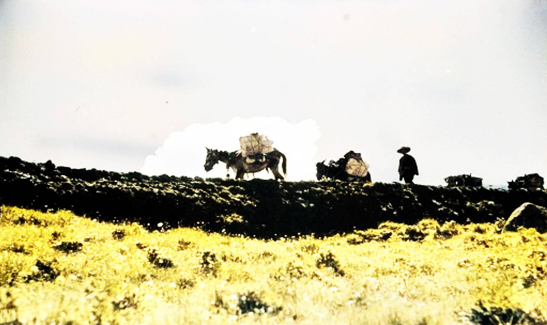 民国时期,一名美国人往返于临夏与临洮两地沿途所见_拱北_海映光_道路