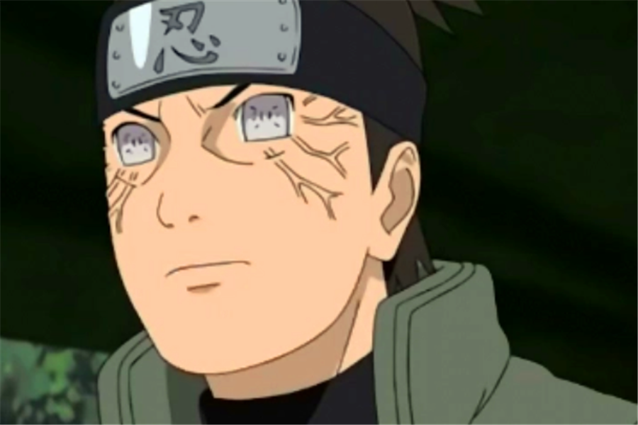 火影忍者中日向一族的13位忍者:女性都是美女,宗家不只一脉_上忍_保护