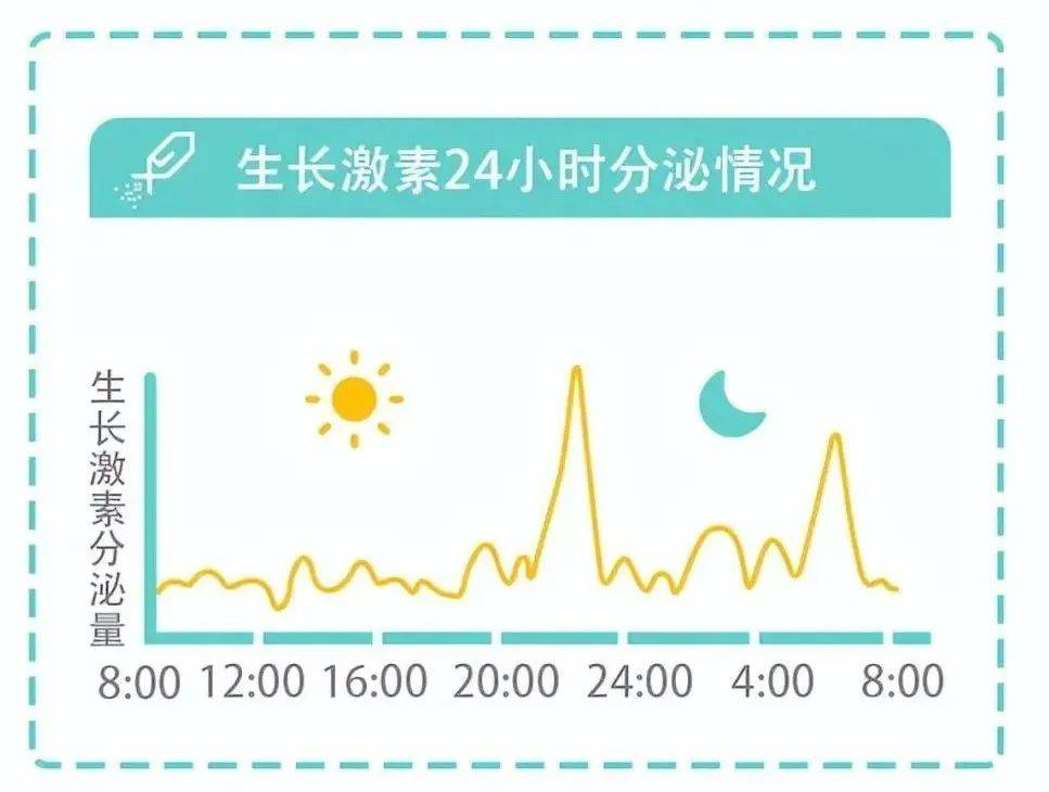 生长激素分泌时间图图片