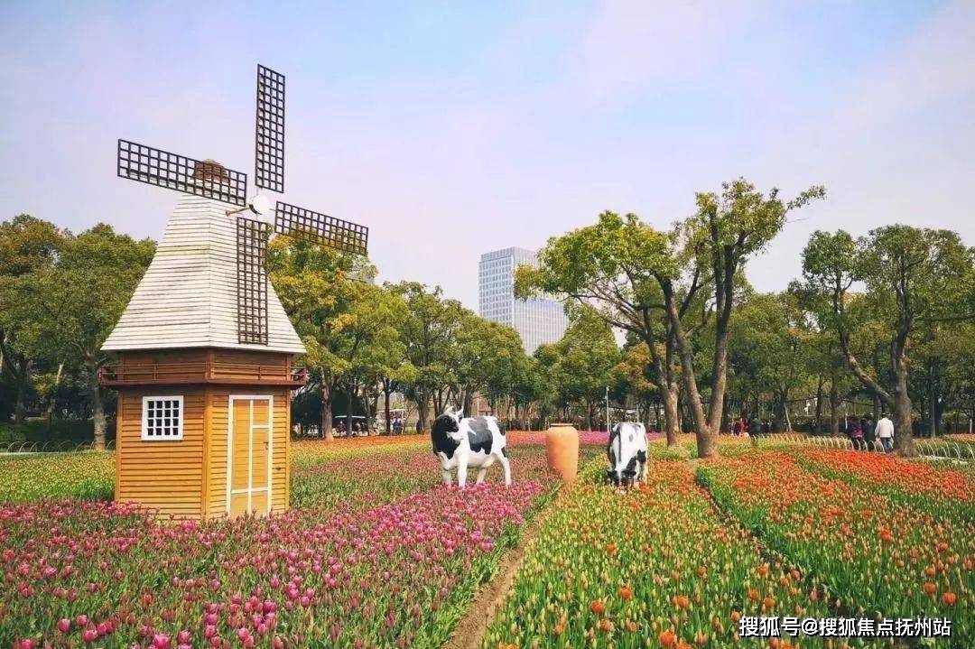 「大宁揽翠艺墅」附近的上海大宁灵石公园总面积为68万平方米,是上海