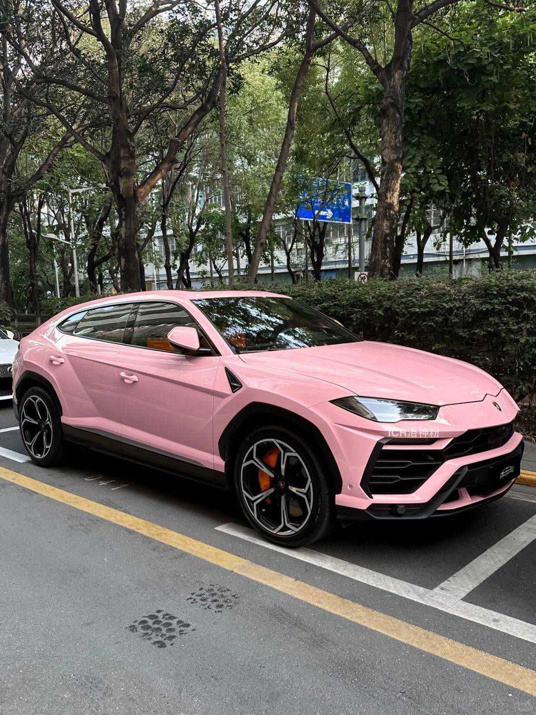 兰博基尼icr改色膜洛神粉,回头率爆棚的洛神粉绝了_搜狐汽车_搜狐网
