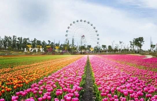 原味中国年-百花闹新春-马戏嘉年华|音乐百花谷等你来_红梅_郁金香