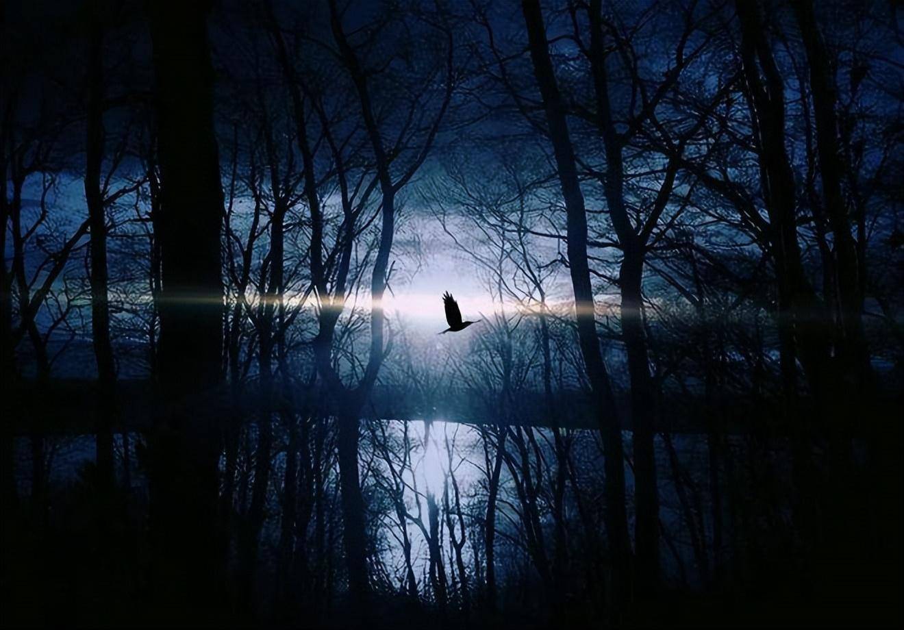 比黑暗森林更可怕的大过滤理论,给出解释_生命_宇宙_智能