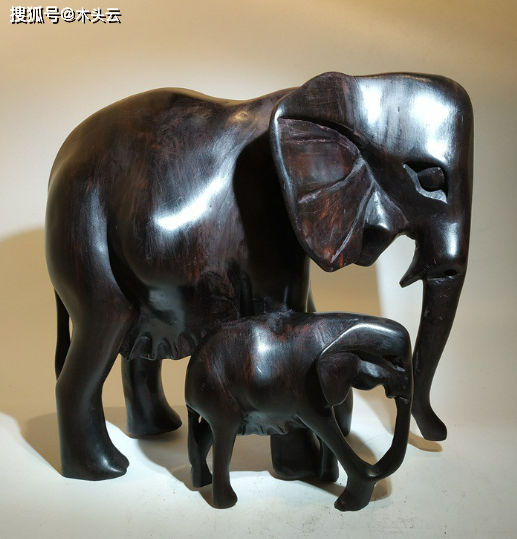 非洲黑木产于非洲大陆部分热带原始森林中,呈黑褐色,横截面和纵切面都