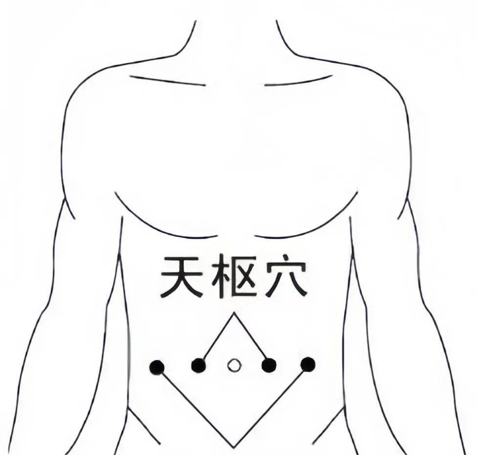 人体天枢准确位置图图片