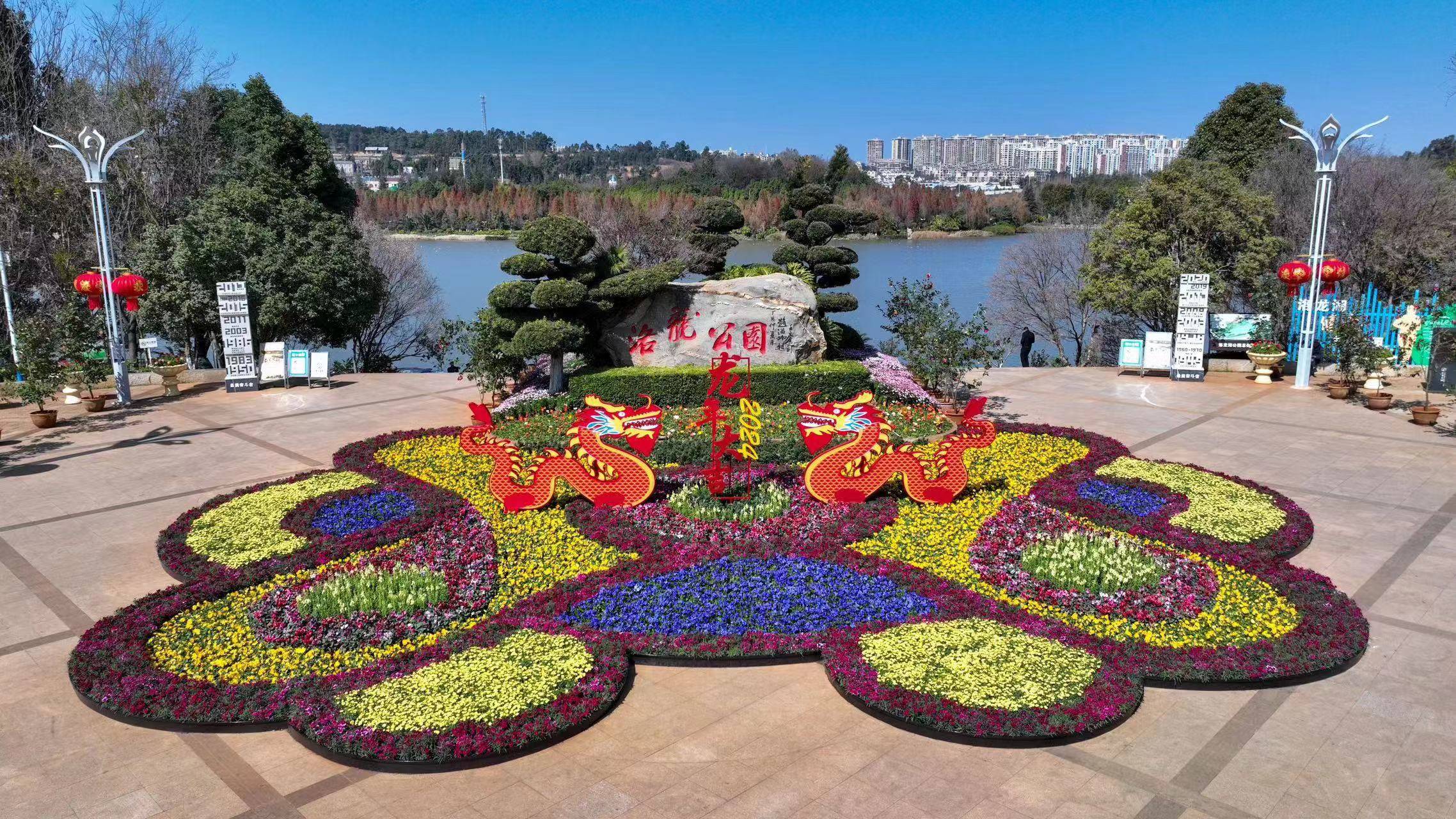 喜迎新春!52万盆鲜花扮靓呈贡