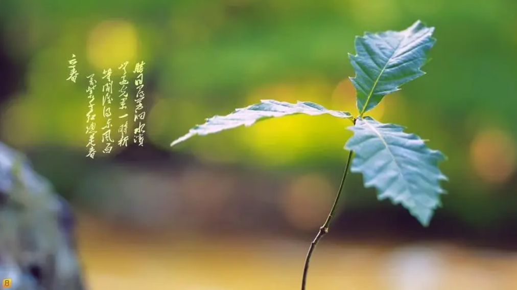 春來東風至 來年景更盛,有關立春的詩詞,願歲月人安好