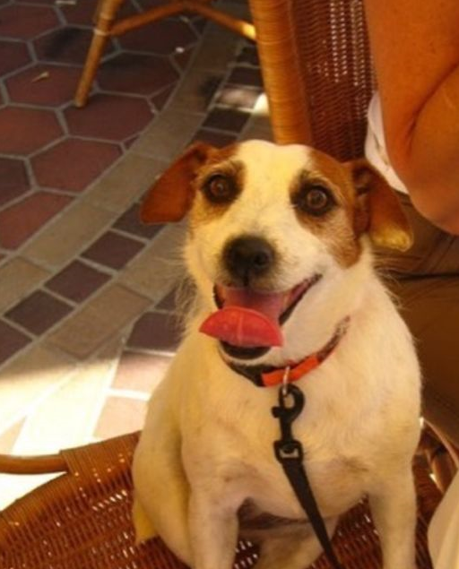 phoebe又回来了,只不过他没有想到是以这种方式回到了他的身边.