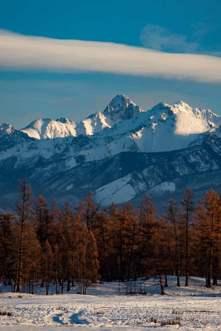 蒙古国驯鹿部落2024穿越千年去聆听萨满的吟唱摄影旅游团_冰雪_世界