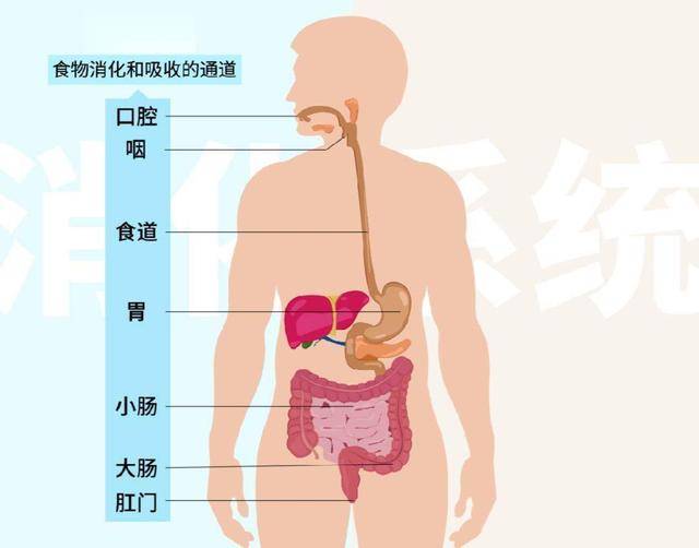 喝酒的男性