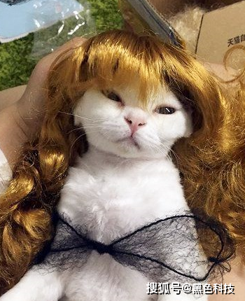 搞笑图片幽默段子笑话:大哥,你的豪车用来装草,太浪费了吧!