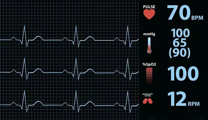 心跳快慢与寿命有关!_心脏_心血管_人体