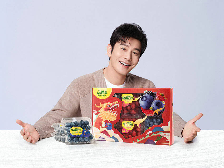 driscolls怡颗莓宣布黄晓明担任品牌代言人_中国地区_浆果_的发展