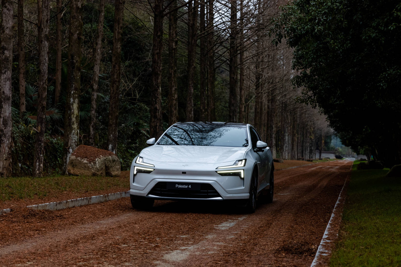 极星"闯关",吉利当"靠山"_汽车_调整_市场