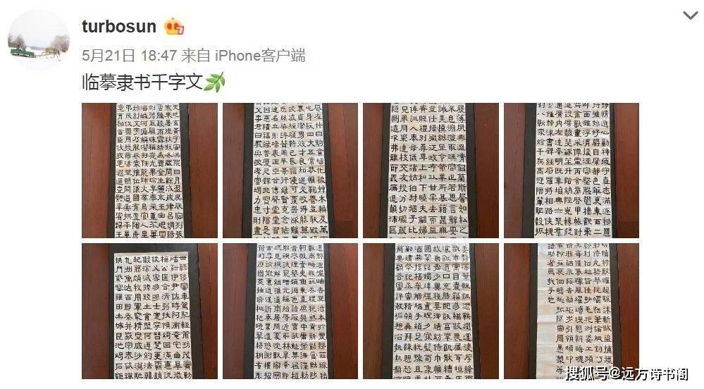 孙俪的书法实在是惊艳,尤善篆书,水平之高堪称书法家_春联_创作_字体