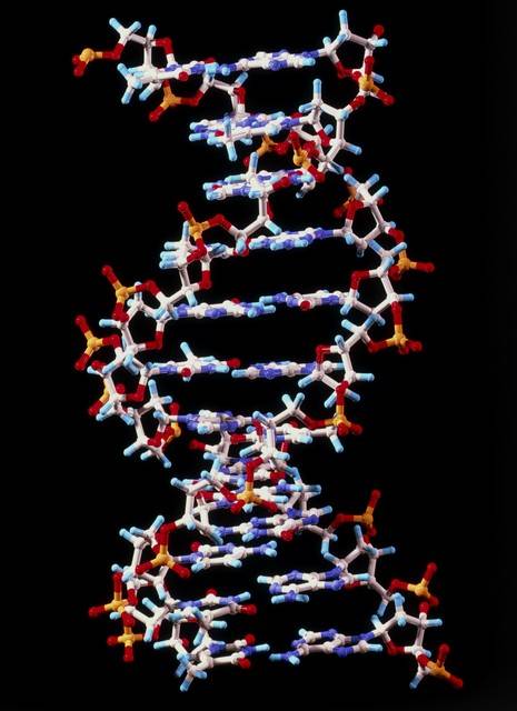 rna的分离与纯化_rnase_变性_蛋白质