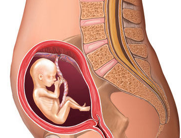孕妈早知道:胎宝宝有这3个表现,说明他缺氧了,切不可大意