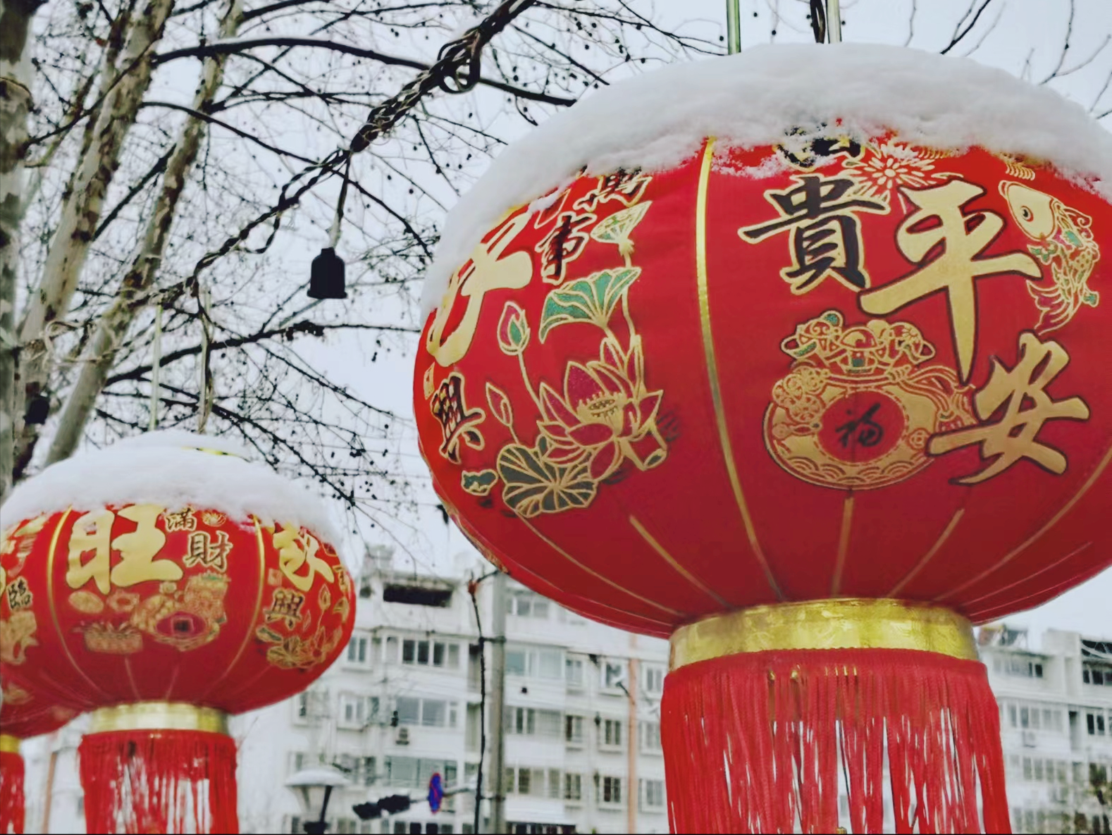 瑞雪迎新年图片