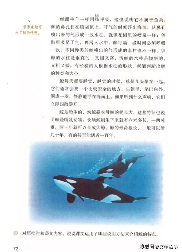 助力寻找小学课文《鲸》的作者郝志东(于功)的近况_生活_捕鲸记_动物