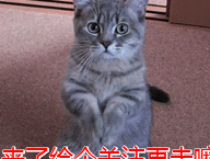 7大有助于猫咪"美毛"的食物,胜过美毛粉!_毛发_营养