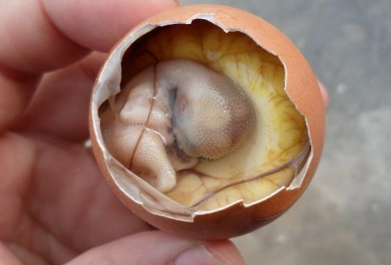 鸡仔胎是经过孵化,但又未能孵出小鸡的鸡蛋,有的地区俗称毛蛋,忘蛋.