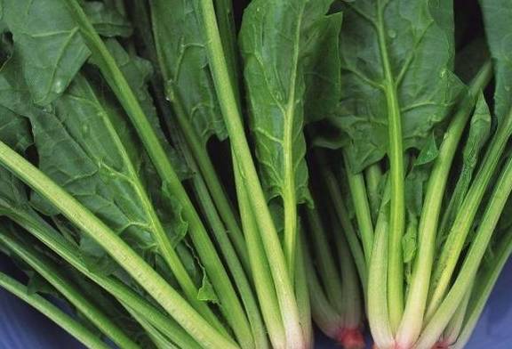 菠菜富含多种营养物质,而且菠菜做的辅食外形也很好看,能勾起宝宝的