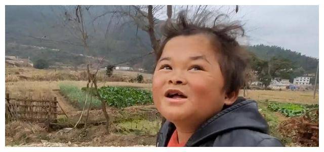 范小勤_公司_机会