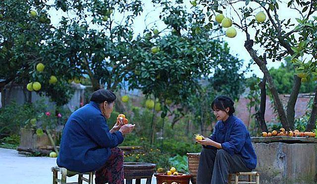 14岁辍学漂泊,曾当过酒吧dj,李子柒:所有的成功都不是偶然_视频_生活