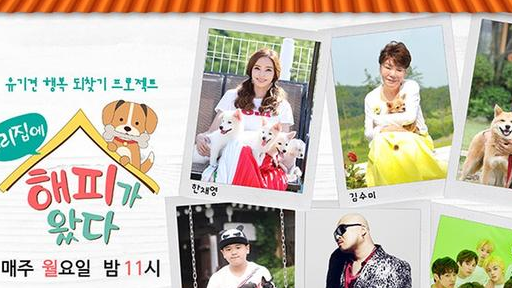 韩国公益综艺节目,请女明星做狗狗看护人,避免狗狗死