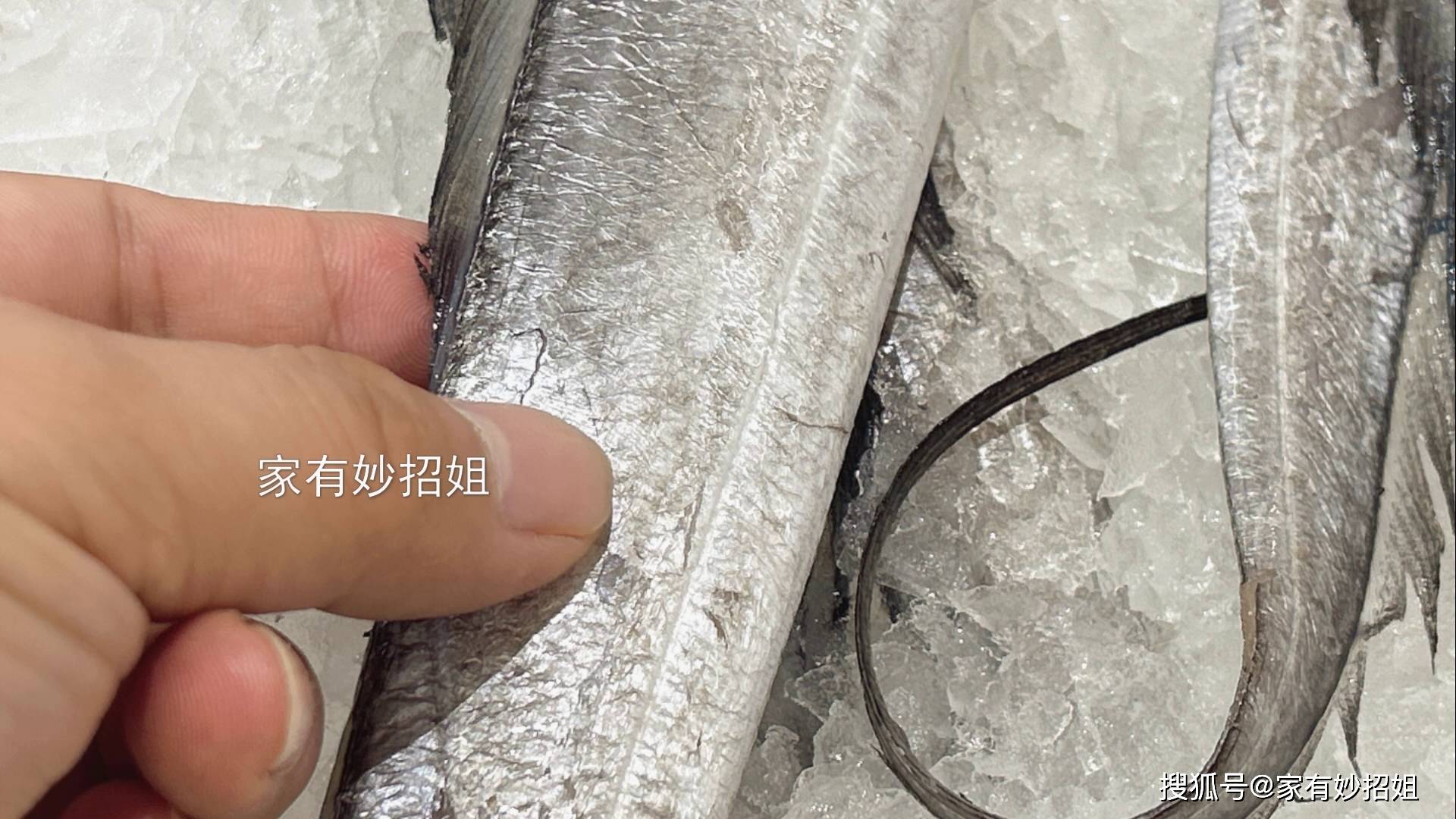 買帶魚,分清