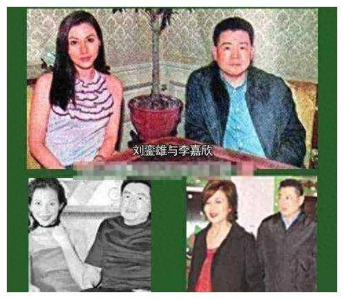 香港富商刘銮雄的商战计划遇到了阻力,而与之合作的14k大佬洪汉义提出