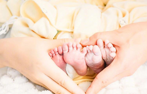 原来试管婴儿如此辛苦,谢娜真勇敢,母爱真伟大!_妈妈_过程_受精卵