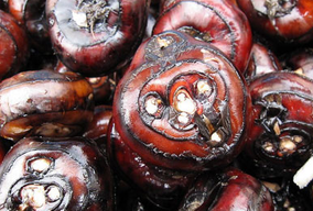 生活在南方的小伙伴一定知道有一种美味的水果荸荠,可能很多人不知道