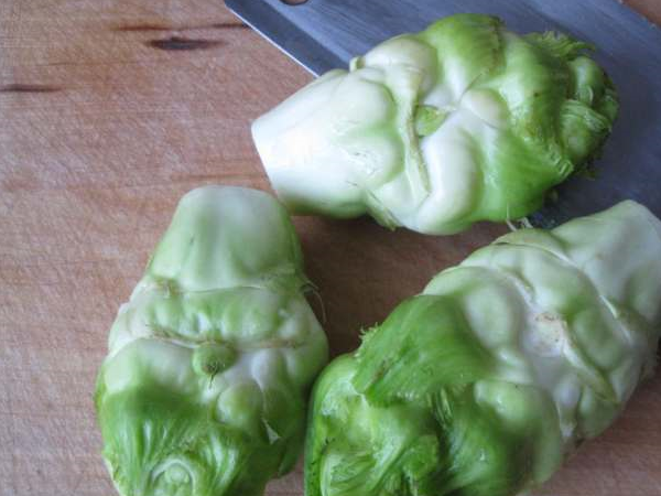 让香肠变软,等水收干后慢慢煸出香肠中的油份,入姜蒜末炒香,下入儿菜