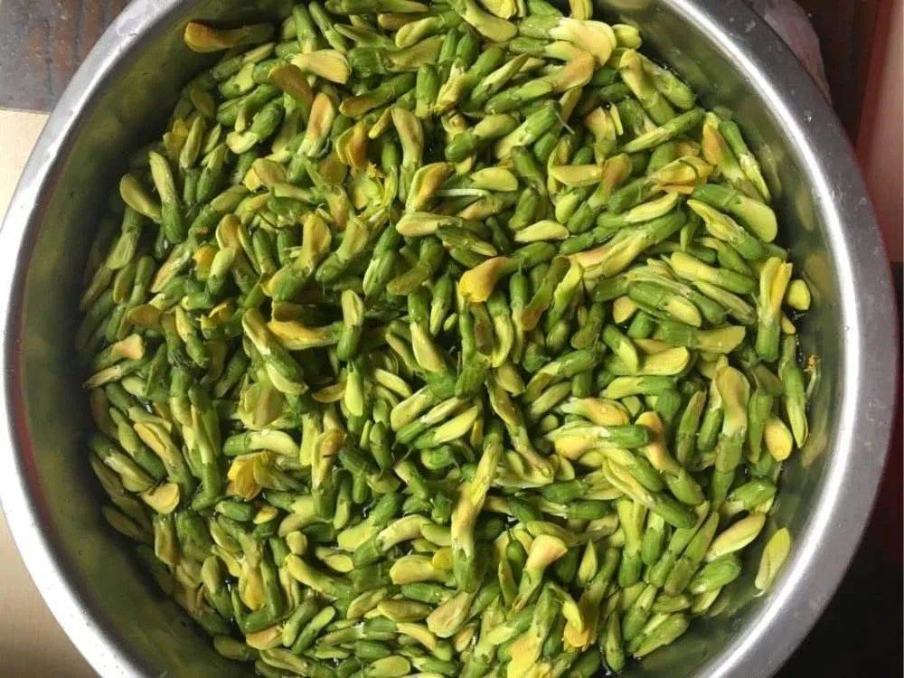 口感如吃肉,头茬能卖50元/斤,煎鸡蛋很美味,这野菜你吃过吗?