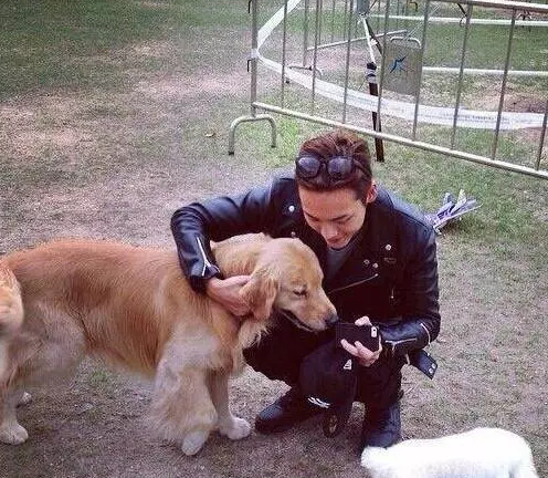 而很多人的童年男神谢霆锋养的宠物就非常另类了,按理说一般人都喜欢