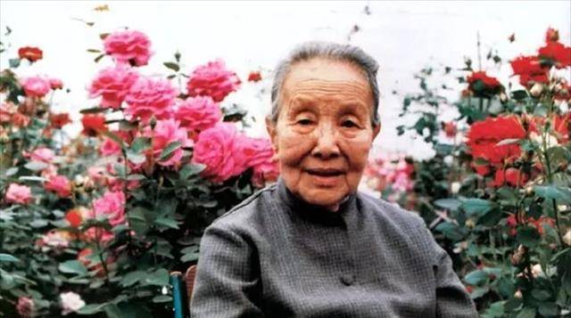 被林徽因,张爱玲明嘲暗讽,被鲁迅瞧不起,冰心哪里得罪