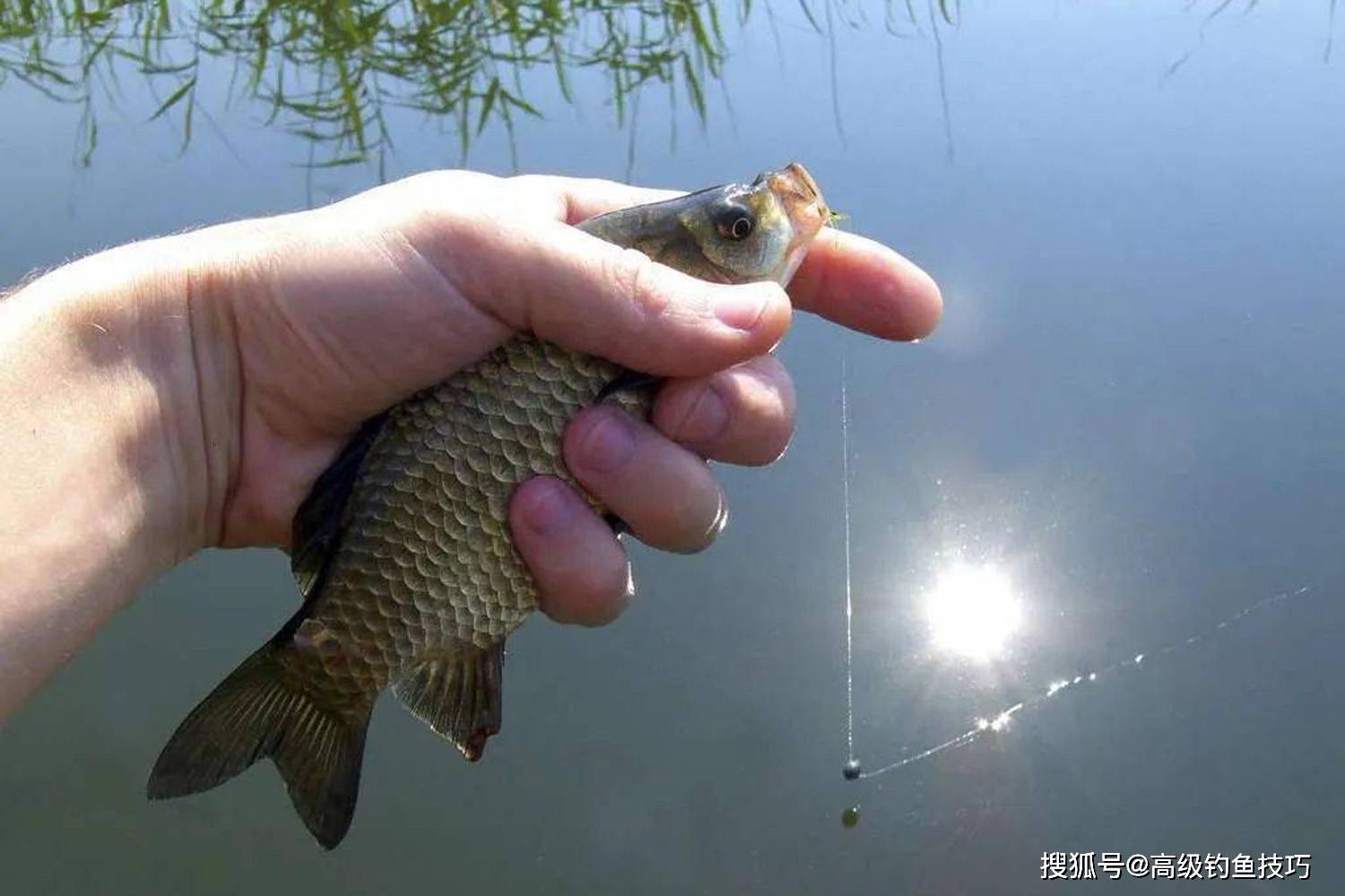 判断气温是否适合钓鱼的4个方法,效果显著_变化_鱼就