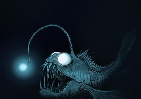 琵琶鱼的特征和养殖方法,你真的了解么_身体_其他_青苔