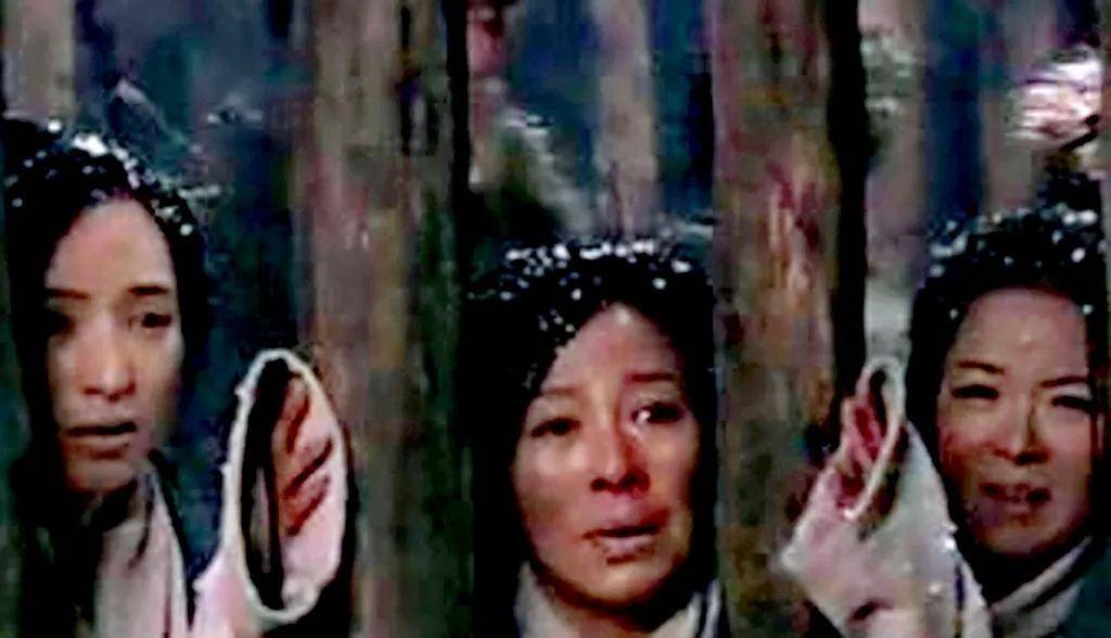 "胖脸王妃",金丝布包裹全脸,尸检后揭开一段屈辱史_金朝_赵金姑_村民