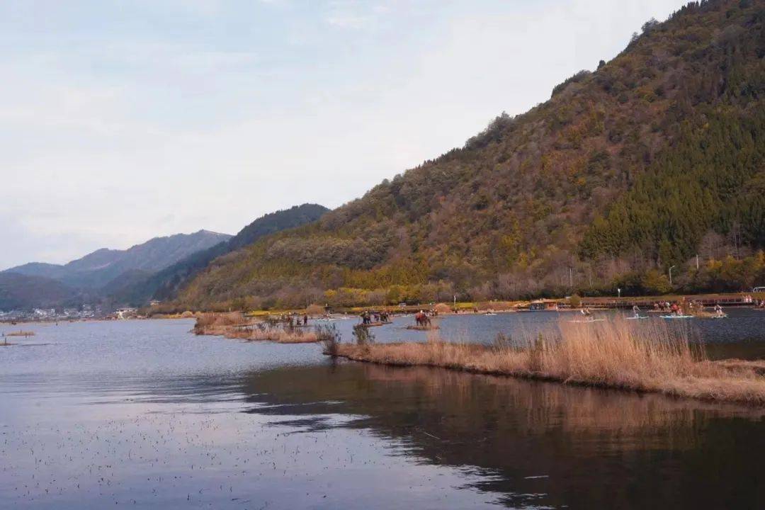 价格也十分亲民,这里还能观候鸟,白鹭,紫水鸟,骑白牦牛,矮脚马