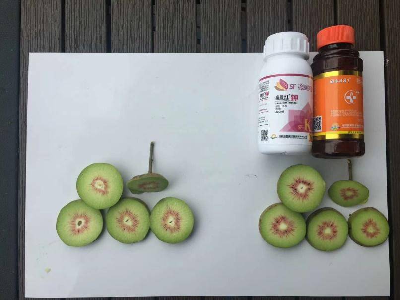 芸苔素硕丰481应用方法,搭配方法,别再说不会用天然素