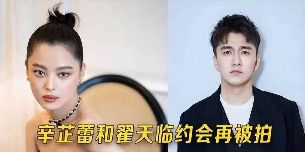 刘大锤谈辛芷蕾,和假博士翟天临感情稳定,六年感情女