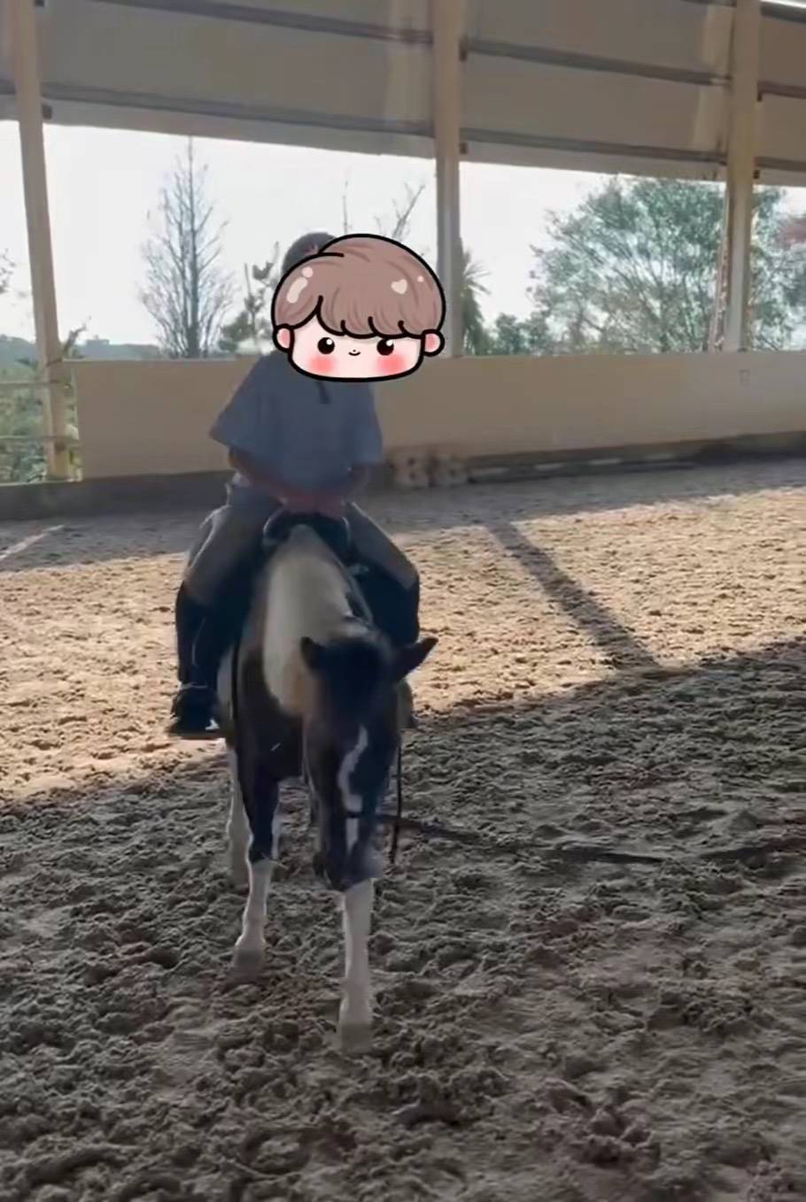 汪小菲寒假家庭欢乐时光,展现父爱,新女友mandy融入孩子们骑马嬉戏