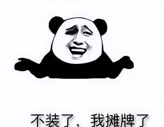 我摊牌啦图片