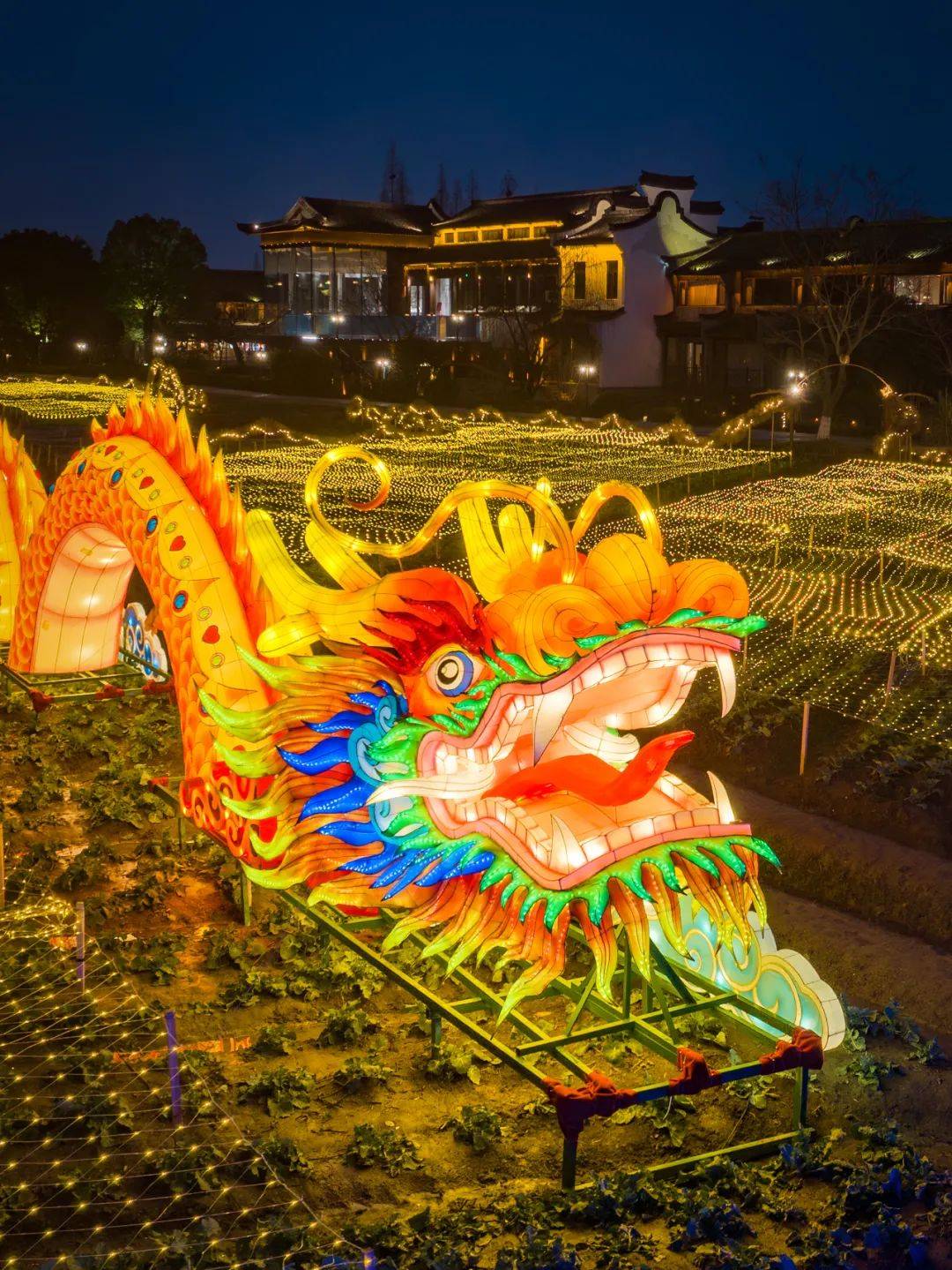 在水上集市吃汤圆,猜灯谜;在昭明书院看花灯……让我们在乌镇度过浪漫