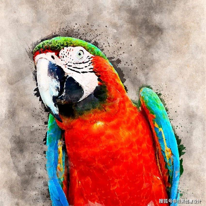 ps软件技巧,制作绘画效果_步骤_画笔_调整